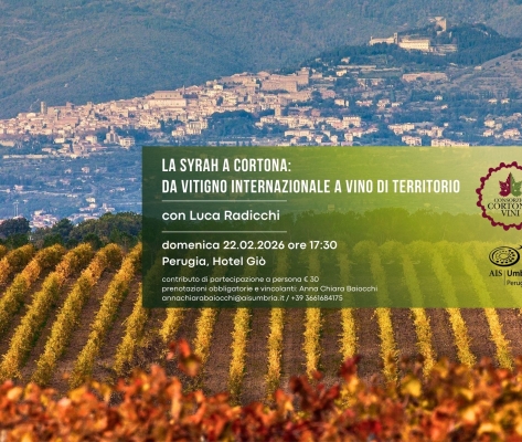 La Syrah a Cortona - da vitigno internazionale a vino di territorio
