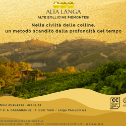 ALTA LANGA ALTA LANGA