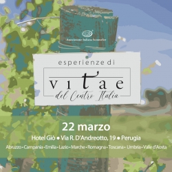 Esperienze di Vitae del Centro Italia 2026