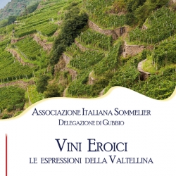 Vini Eroici - Le espressioni della Valtellina
