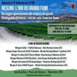 Riesling: L'oro dei grandi fiumi