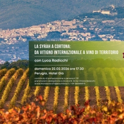 La Syrah a Cortona - da vitigno internazionale a vino di territorio La Syrah a Cortona - da vitigno internazionale a vino di territorio