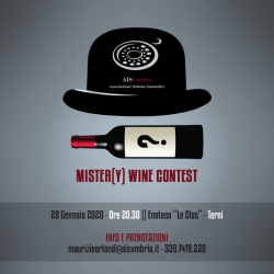 MISTER(Y) WINE CONTEST