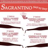 Sagrantino Step By Step