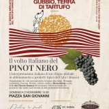 Il volto italiano del Pinot