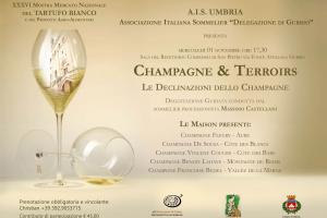Champagne & Terroirs